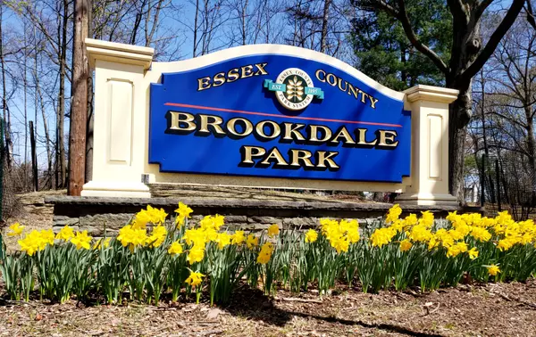 feature image of Brookdale Park: One of the Jewels of Essex County!