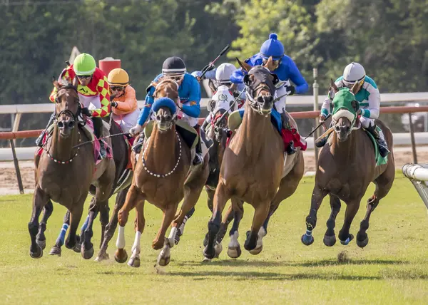  Celebrate Opening Day of the 2025 Thoroughbred Race Meet at Louisiana Downs!,Jenni McCarty