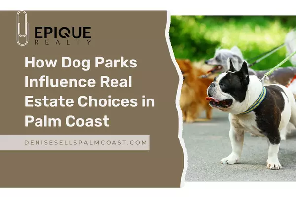 How Dog Parks Influence Real Estate Choices in Palm Coast