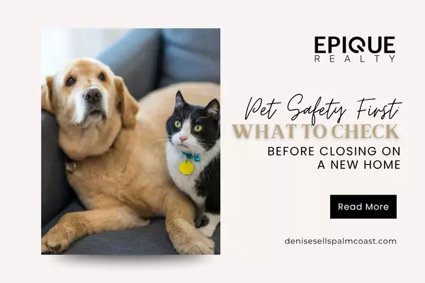 Pet Safety First: What to Check Before Closing on a New Home