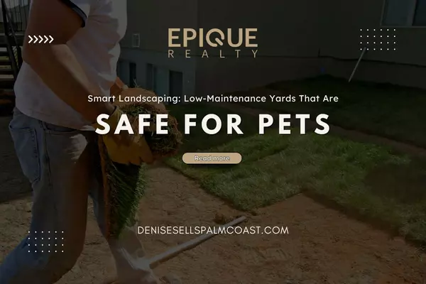 feature image of Smart Landscaping: Low-Maintenance Yards That Are Safe for Pets