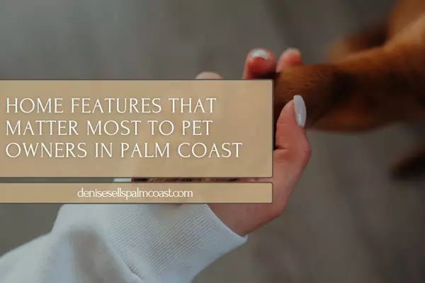 Home Features That Matter Most to Pet Owners in Palm Coast