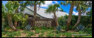 Emerald Forest Homes for Sale 