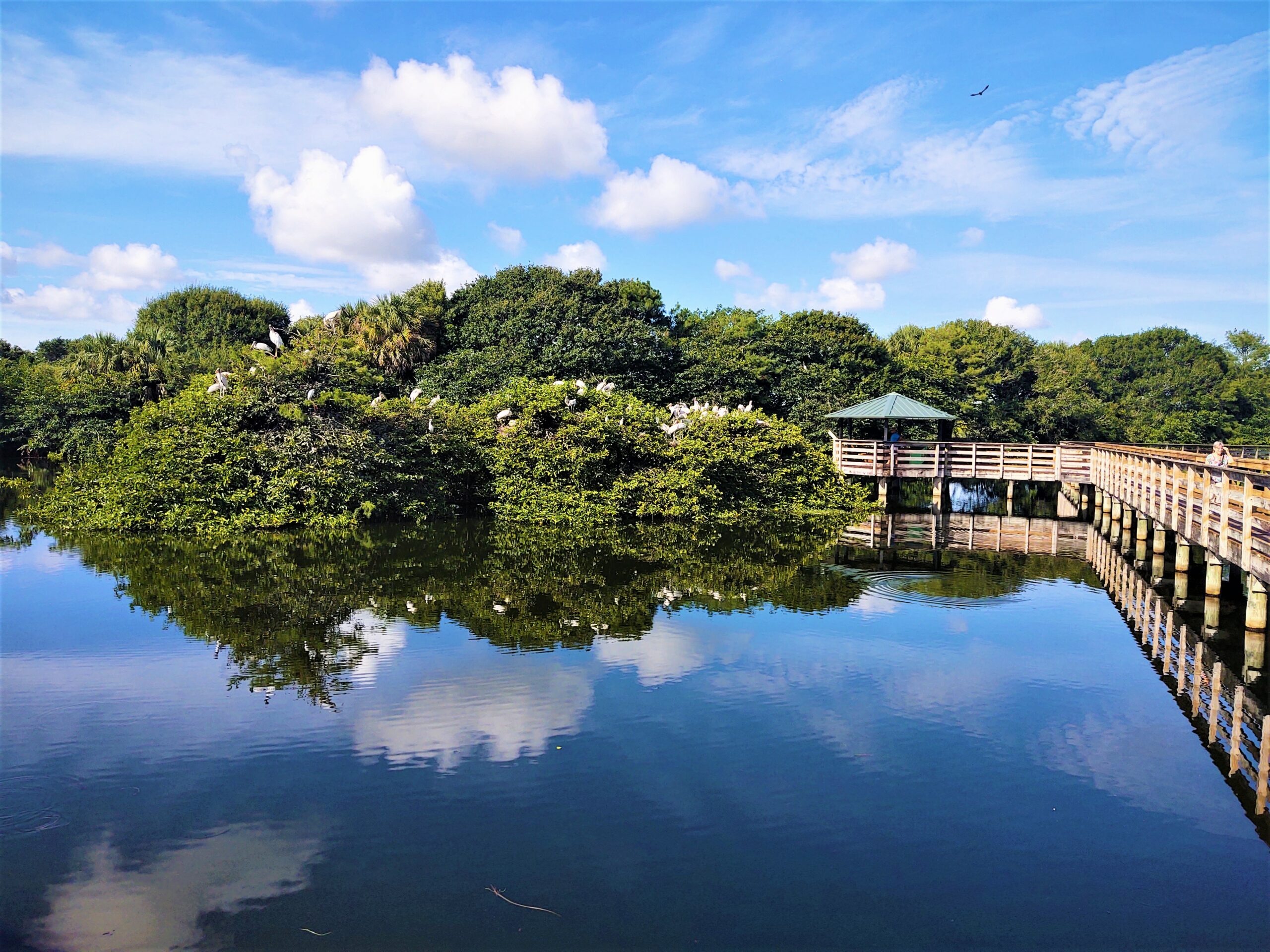 Wakodahatchee Wetlands