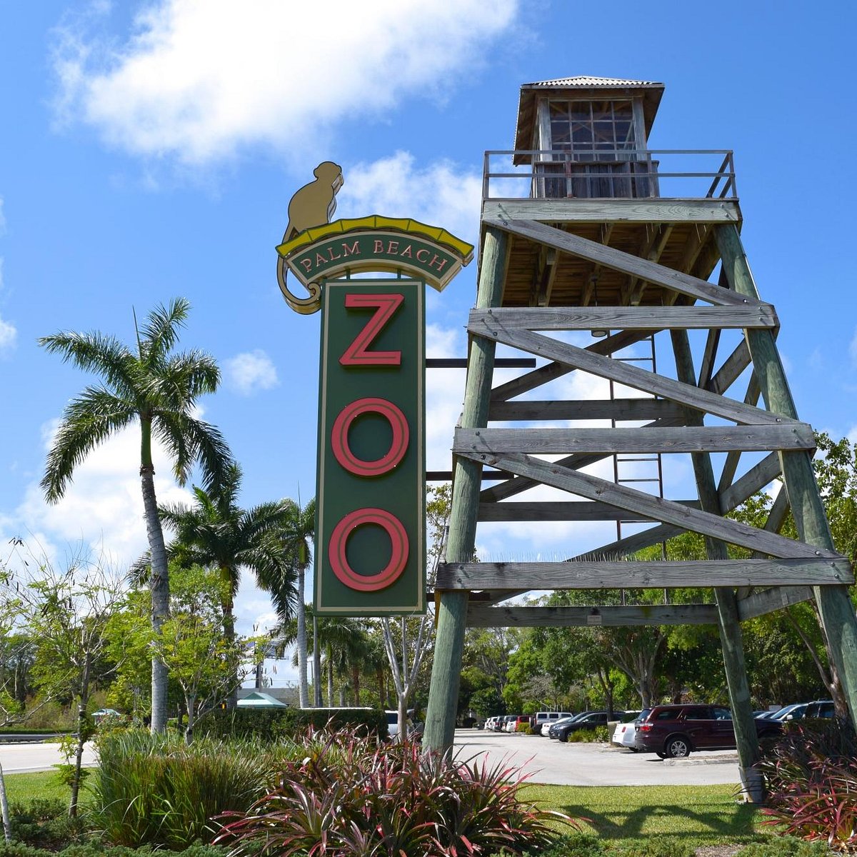 palm-beach-zoo-conservation