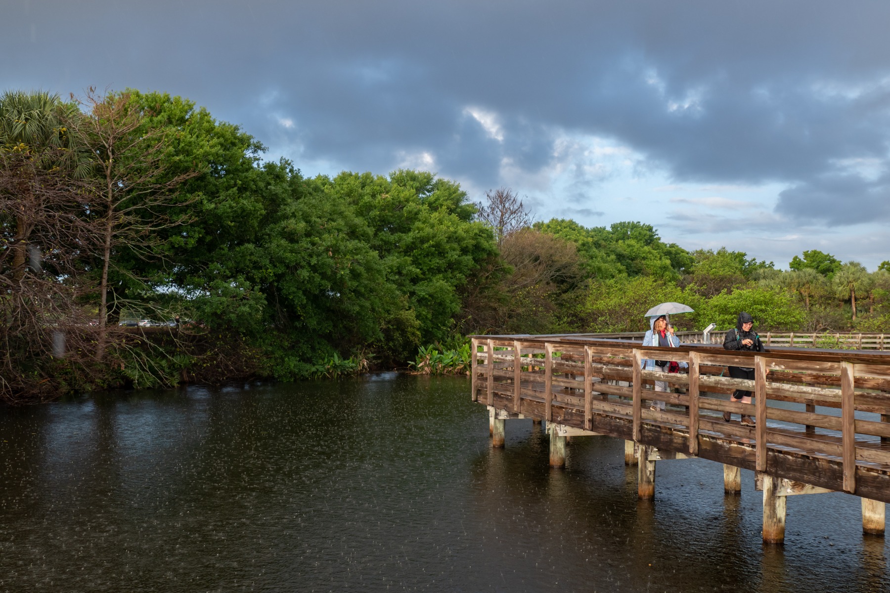 Wakodahatchee Wetlands