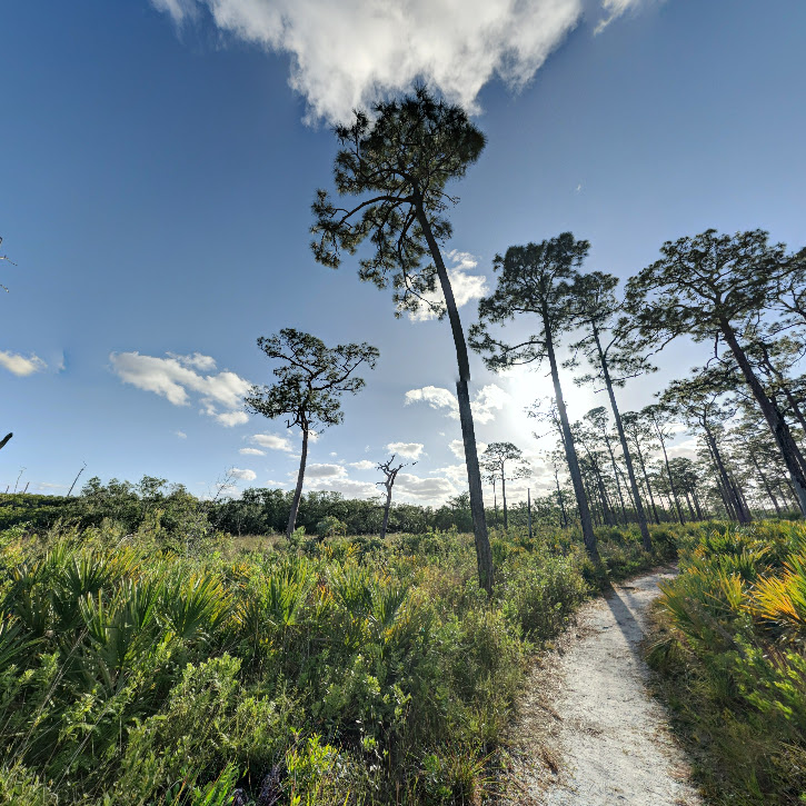 Jonathan Dickinson State Park