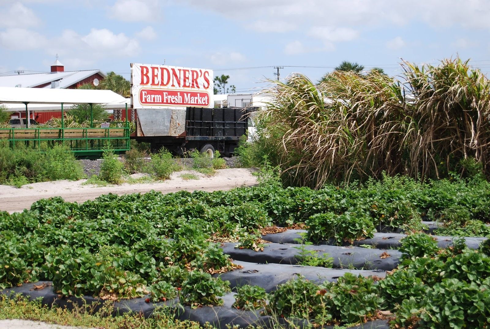 Bedner&rsquo;s Farm Fresh Market