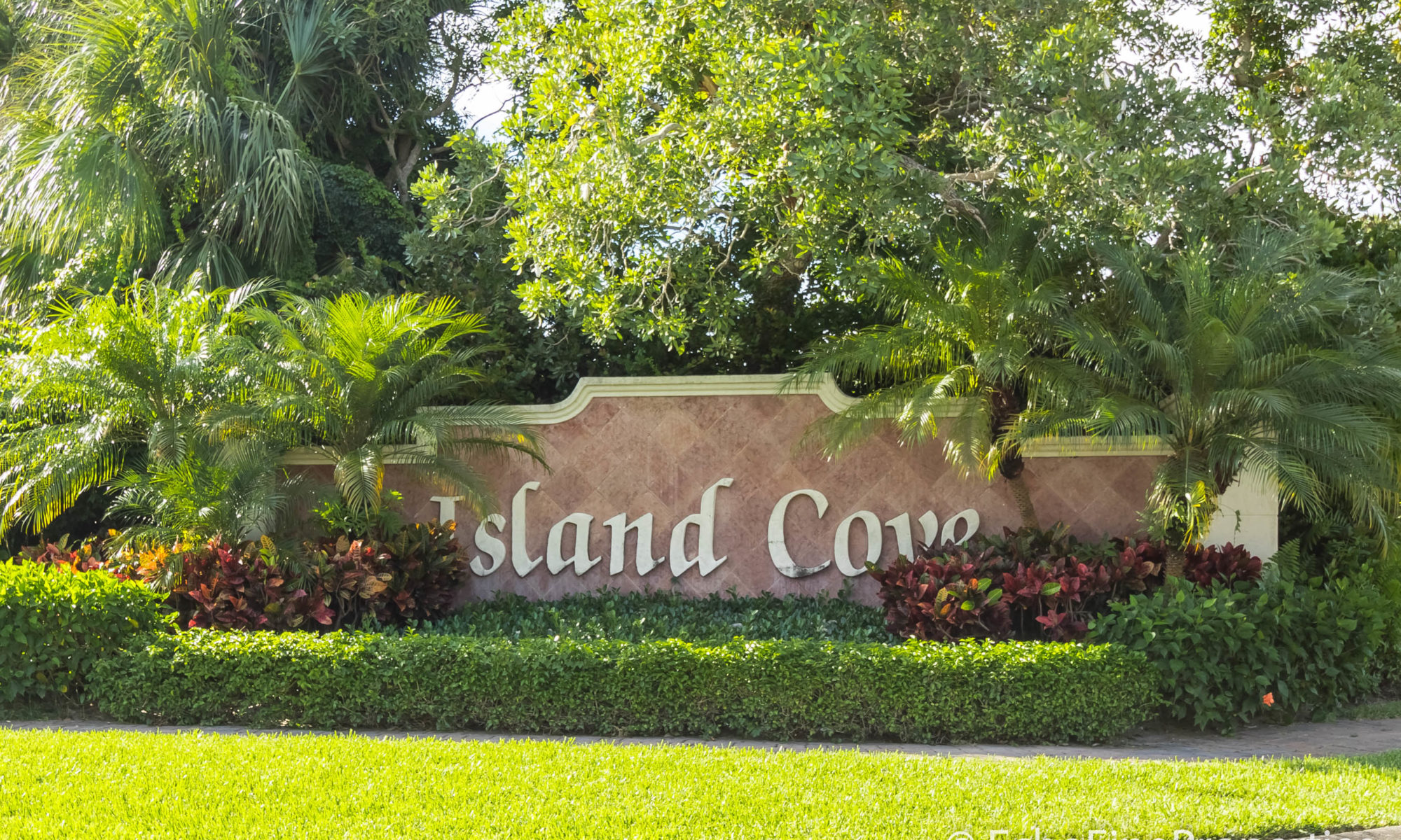 Island Cove blog