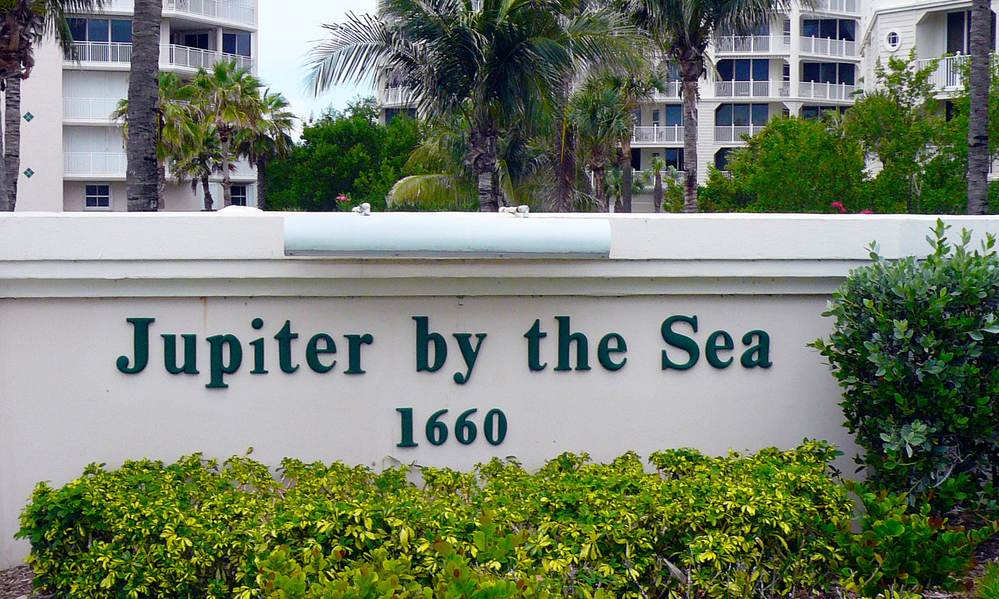 Jupiter By The Sea blog