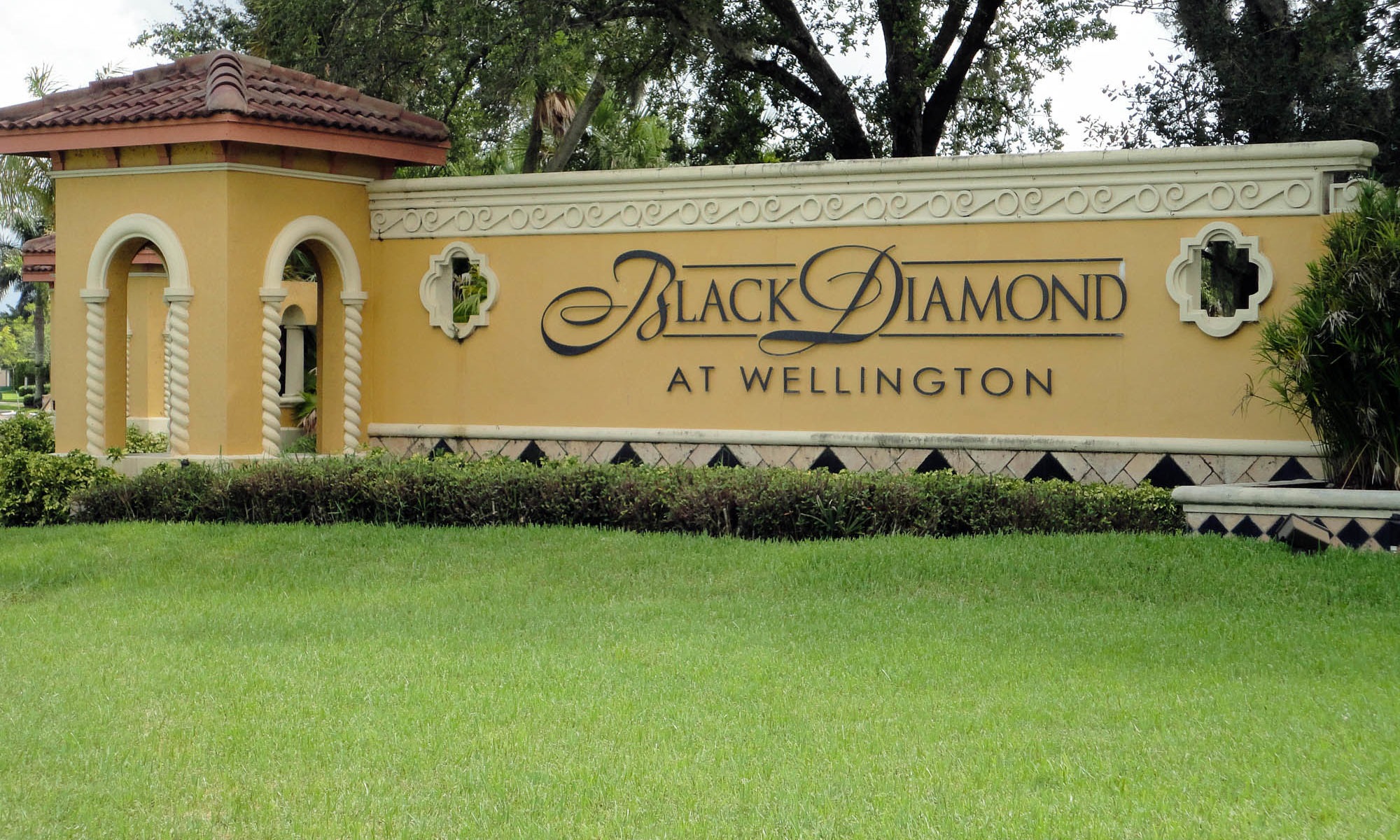 Black Diamond