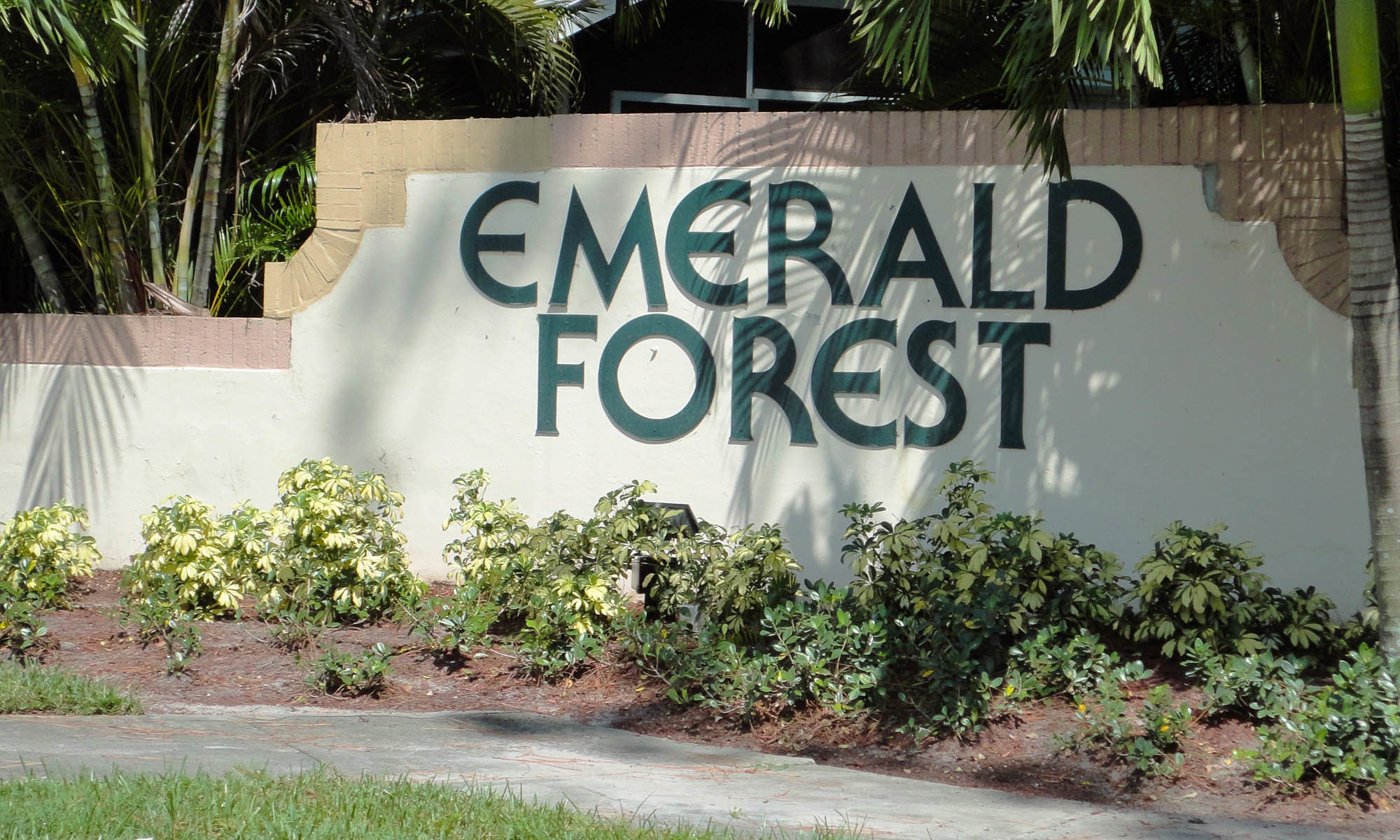 Emerald Forest