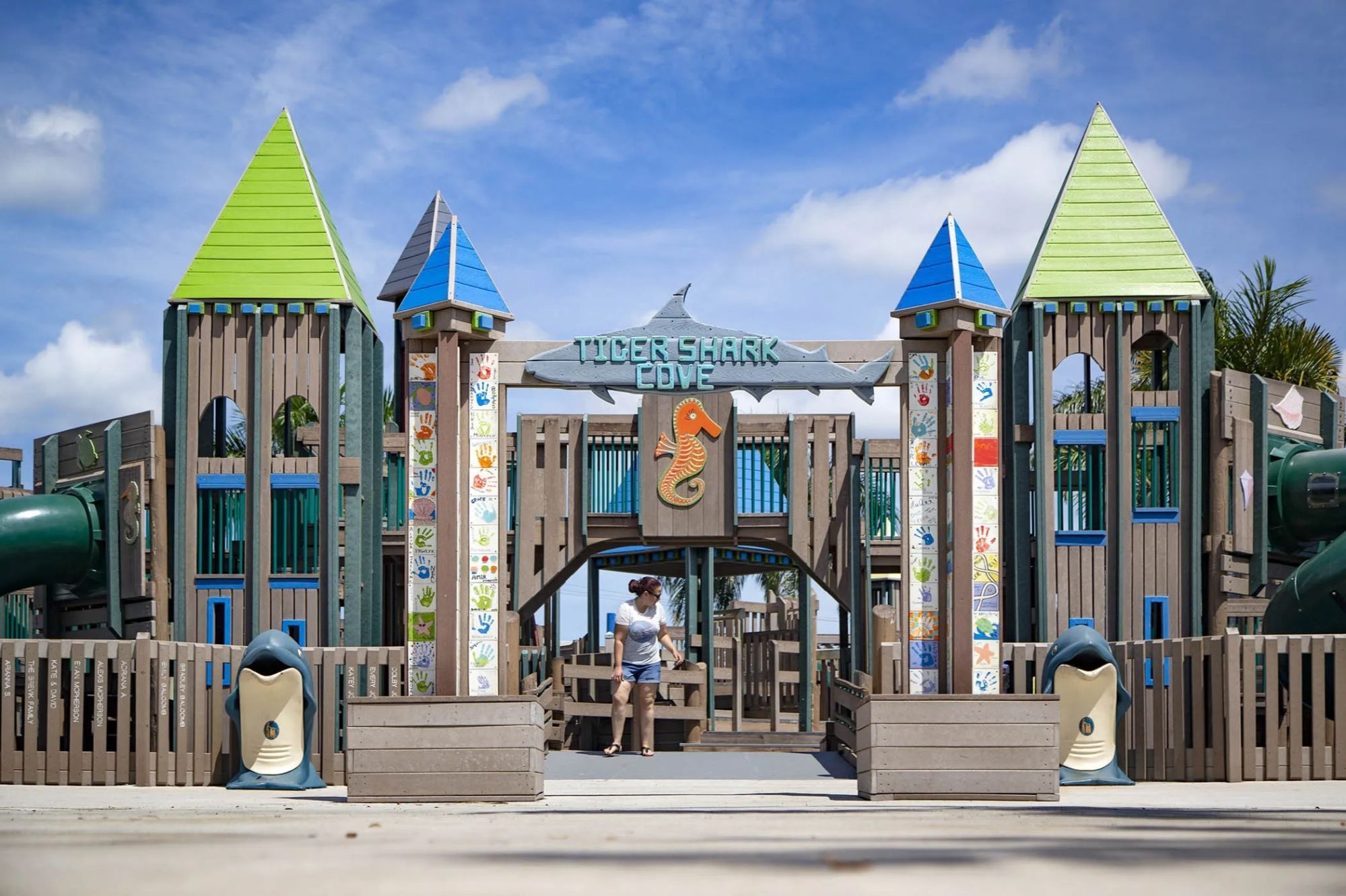 Tiger Shark Cove Park