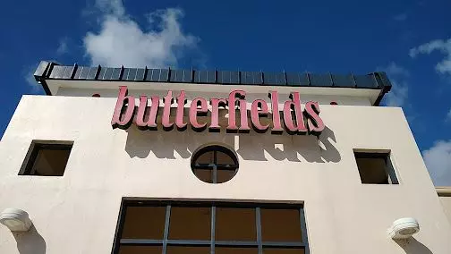 butterfly