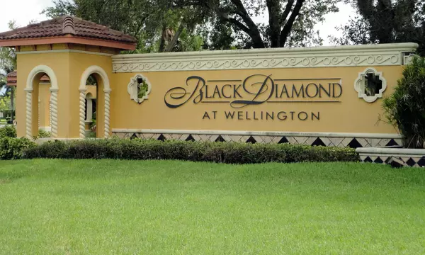 Black Diamond Homes for Sale in, Wellington FL