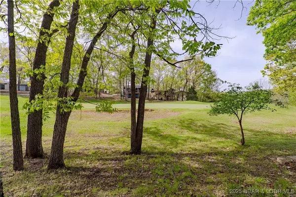 294 Moongate DR, Osage Beach, MO 65065