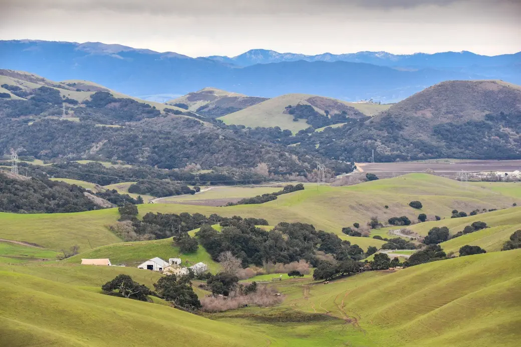 Country Living in Nipomo: Acreage, Ranch Homes and Horse Properties