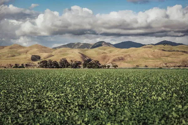 Santa Maria Valley farmland and hills