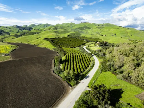 Vineyards and green rolling hills on California's Central Coast