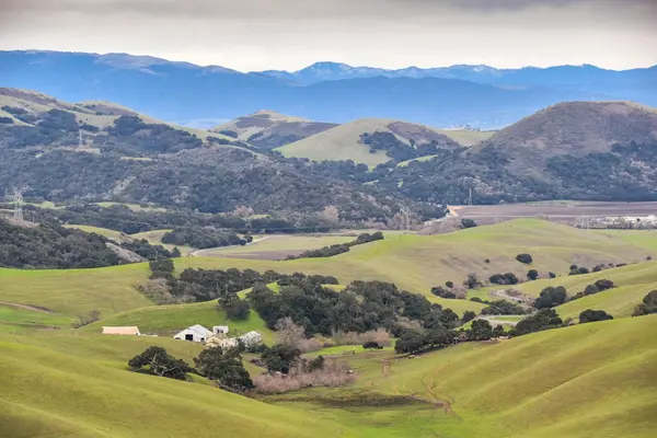 Rolling ranch country with oak trees near Nipomo