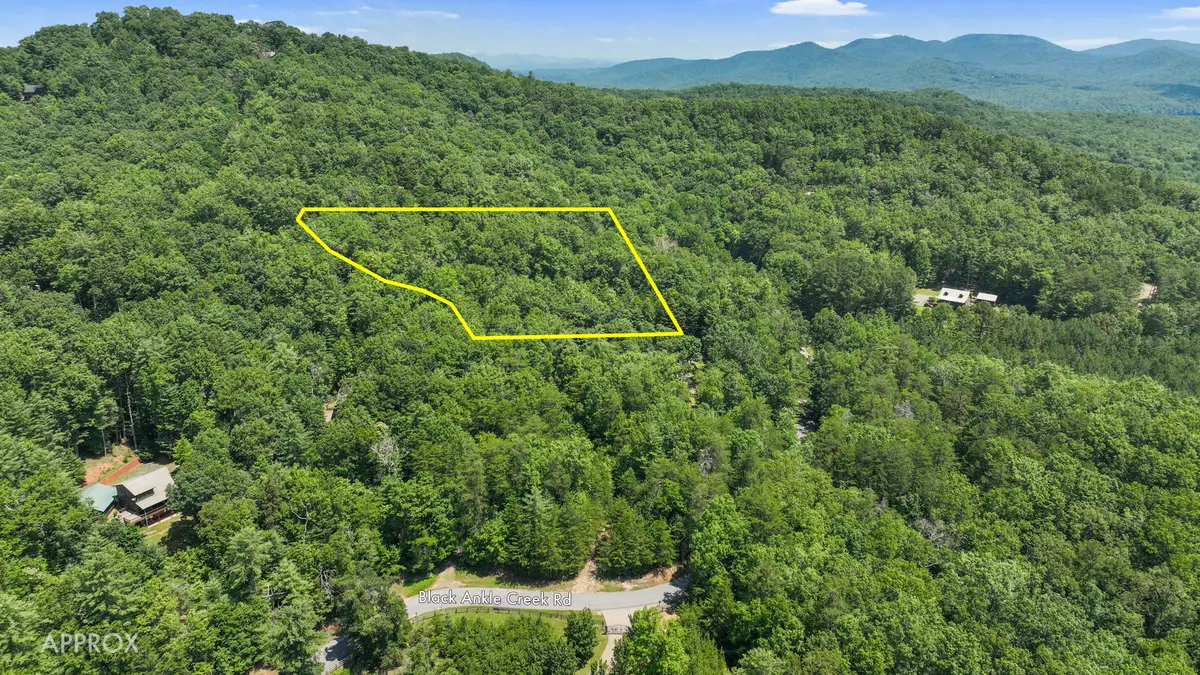 Lot 1 High Knee Road Cherry Log, Ga 30522,