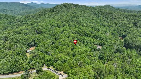 Lot 1 High Knee Road Cherry Log, Ga 30522,