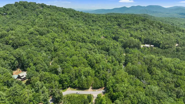 Lot 1 High Knee Road Cherry Log, Ga 30522,