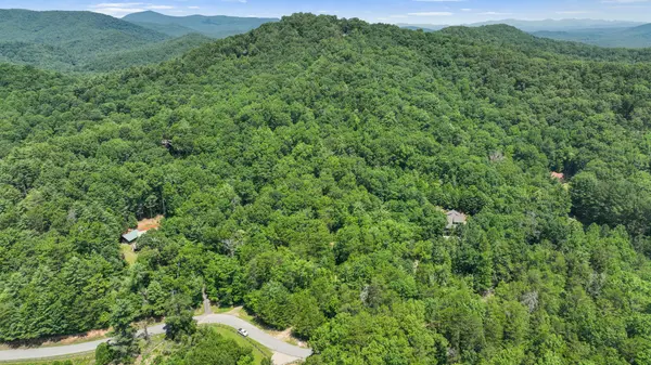 Lot 1 High Knee Road Cherry Log, Ga 30522,
