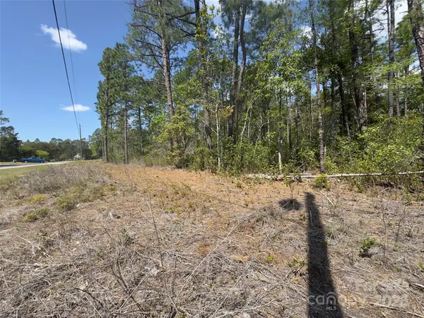 169 Windemere DR, Southport, NC 28461