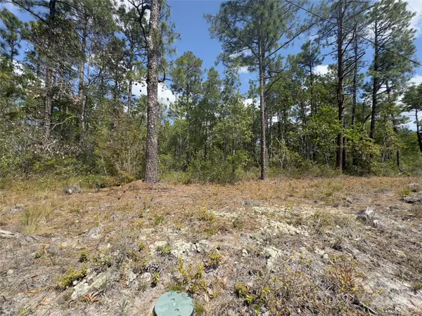 169 Windemere DR, Southport, NC 28461