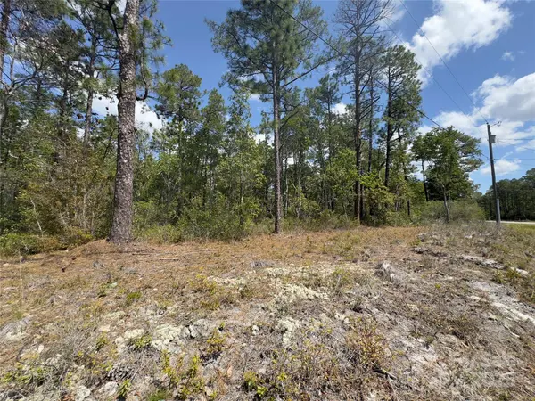 169 Windemere DR, Southport, NC 28461
