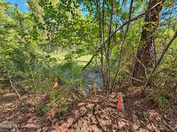 12 Bud Elliot Subdivision, Purvis, MS 39475