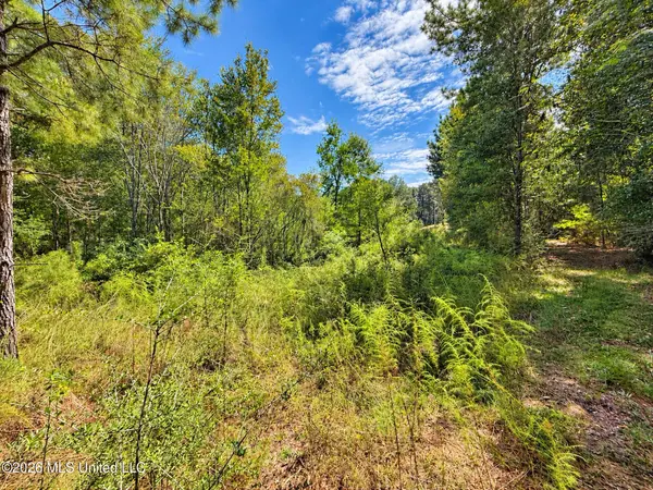 12 Bud Elliot Subdivision, Purvis, MS 39475