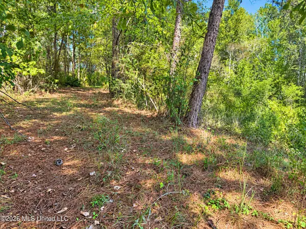 12 Bud Elliot Subdivision, Purvis, MS 39475