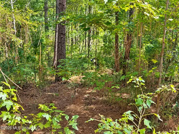 12 Bud Elliot Subdivision, Purvis, MS 39475