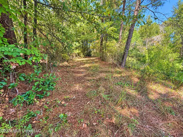 12 Bud Elliot Subdivision, Purvis, MS 39475