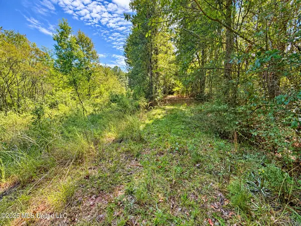 12 Bud Elliot Subdivision, Purvis, MS 39475