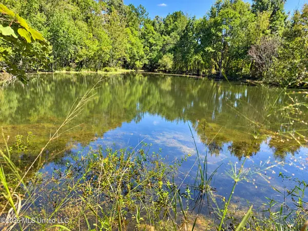 12 Bud Elliot Subdivision, Purvis, MS 39475
