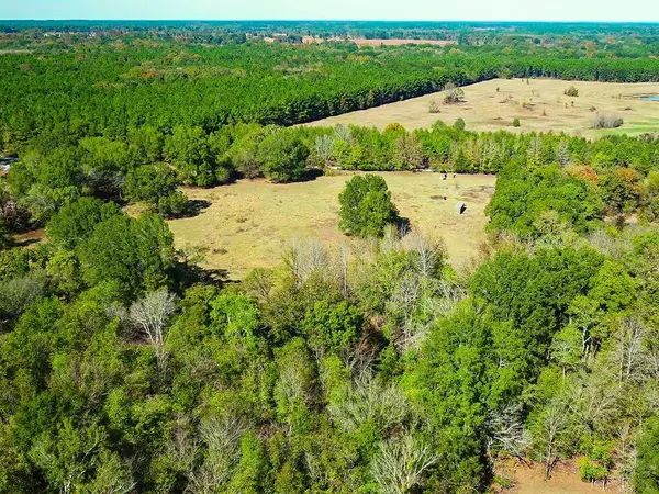 0-10057-00000-0201-00 County Road 3145, Clarksville, TX 75426