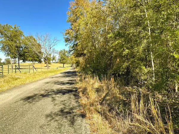 TBD County Road 3420, Leesburg, TX 75451