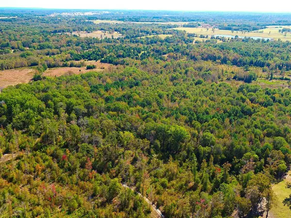 TBD County Road 3420, Leesburg, TX 75451