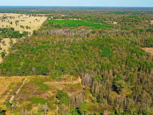 TBD County Road 3420, Leesburg, TX 75451