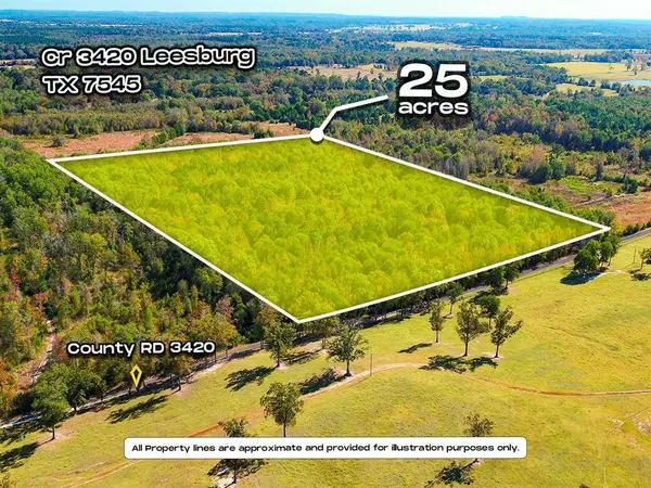 TBD County Road 3420, Leesburg, TX 75451