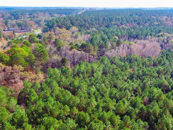 0 Us-259 N, Diana, TX 75640