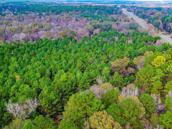 0 Us-259 N, Diana, TX 75640