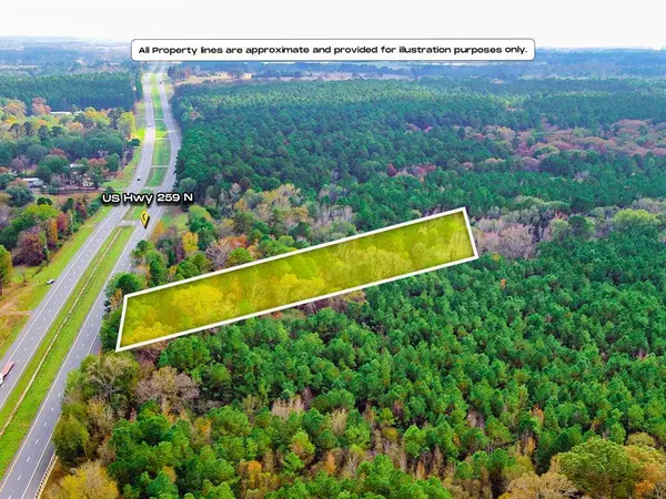 0 Us-259 N, Diana, TX 75640