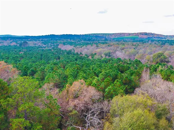 0 Us-259 N, Diana, TX 75640