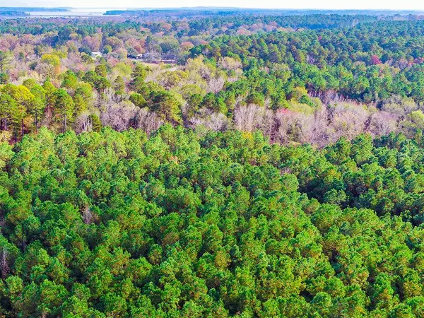 0 Us-259 N, Diana, TX 75640