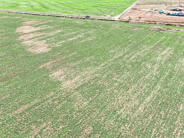 Lot 19 County Road 446, De Leon, TX 76444