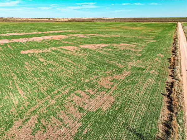 Lot 19 County Road 446, De Leon, TX 76444